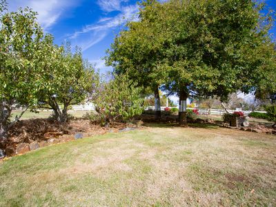 1 Pine Tree Avenue, Grindelwald