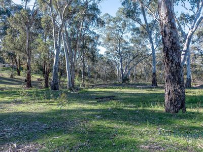 145 Kestel Road, Humbug Scrub