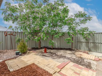 5 Gratiola Road, Byford