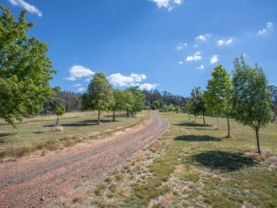 3852 Jingellic Road, Lankeys Creek