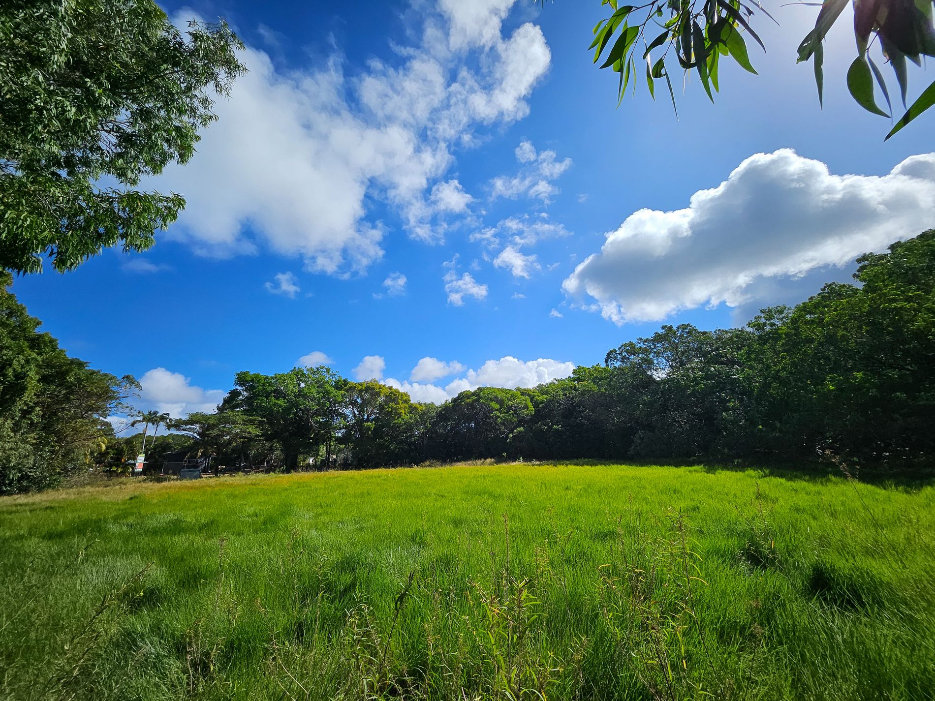 47 Howard Street, Cooktown