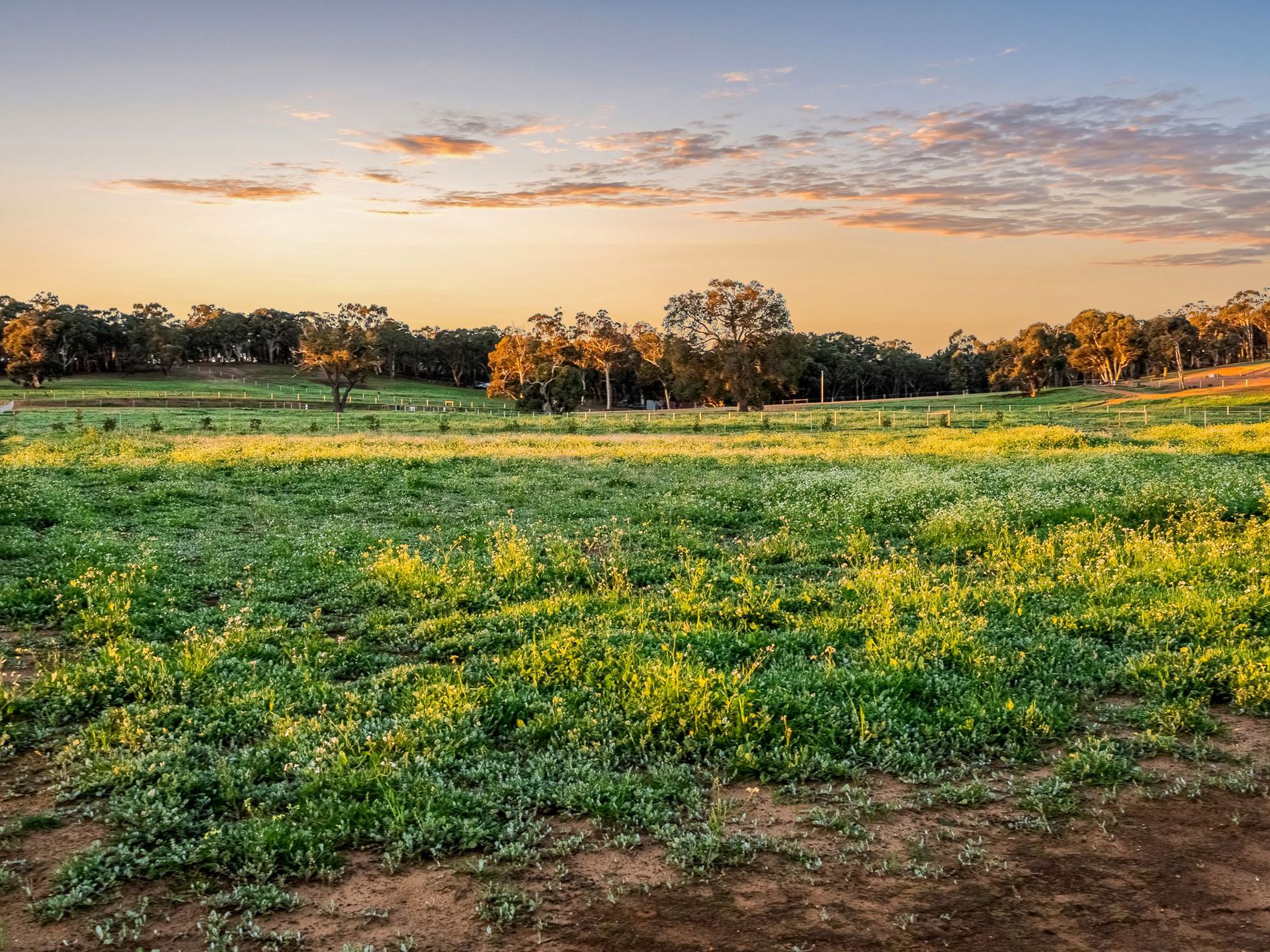 254 Guernsey Rise, Chittering