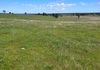 117 HILLSIDE LANE, Daroobalgie