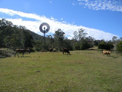 Maleny