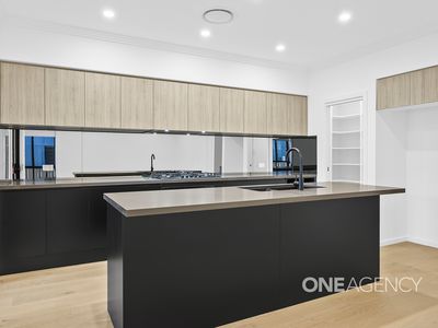 59 Raleigh Street, Albion Park
