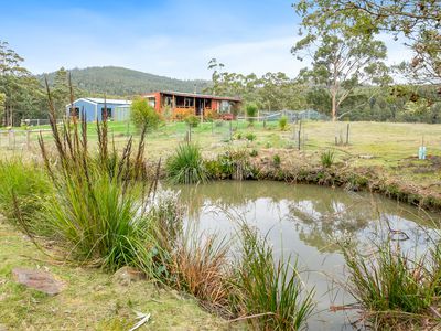 371 Sunny Hills Road, Glen Huon