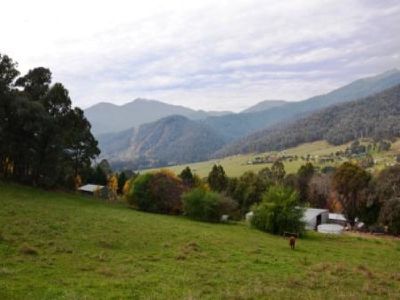158 Simmonds Creek Road , Tawonga South