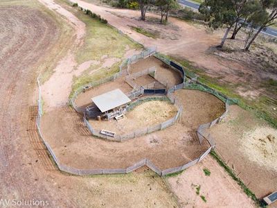 Parkes