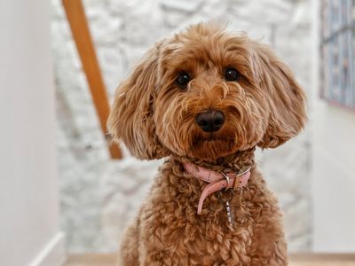 2 / 1A Palkana Drive, Warana