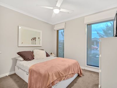 10 Haflinger Avenue, Clyde North