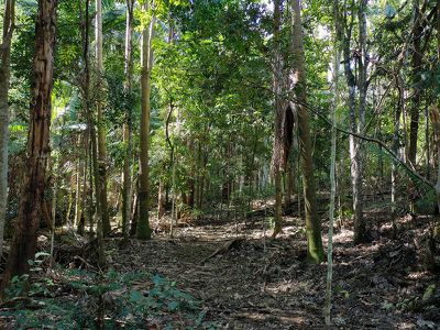 28 Basil Road, Nimbin