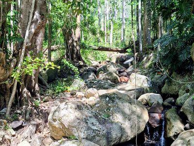 771 Left Bank Road, Mullumbimby Creek