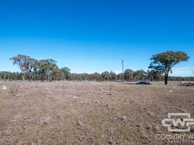 Lot 16, 18, - Emmaville Rd, Emmaville