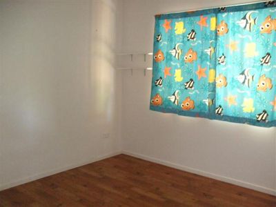 9 Rainforest, Cooktown