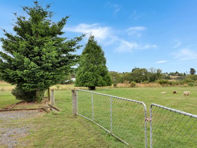 15 Sinclair Avenue, Nightcaps