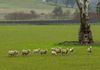 6119 Burrendong Way, Stuart Town