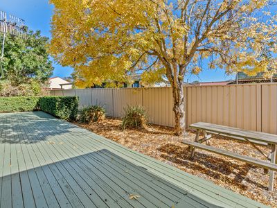 7 Elderberry Avenue, Worrigee