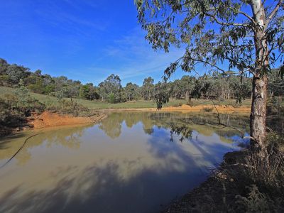 Lot 2 Warrowitue Forest Road, Heathcote