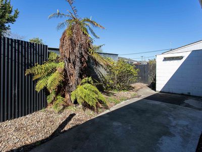 3 / 533 Hereford Street, Christchurch Central