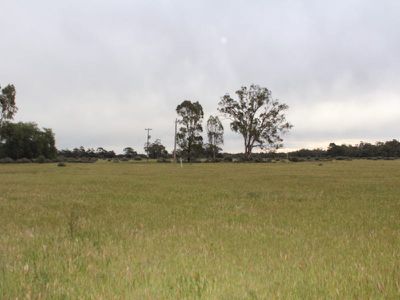 4 / Shady Acres Lane, Moulamein