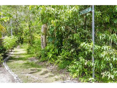 6 Cedar Place, Tewantin