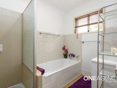 17 Dowden St, Goodna