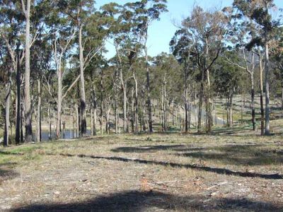 Lot 4, Lot 4 Broadwater, South Pambula