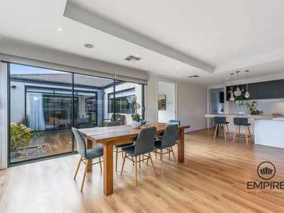 16 Pickerel Avenue, Clyde North