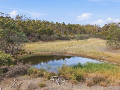 181 White Hill Road, Forcett