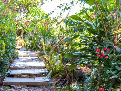 376 Middle Creek Road, Federal