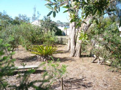 50 Parkinson Street, Narrawallee