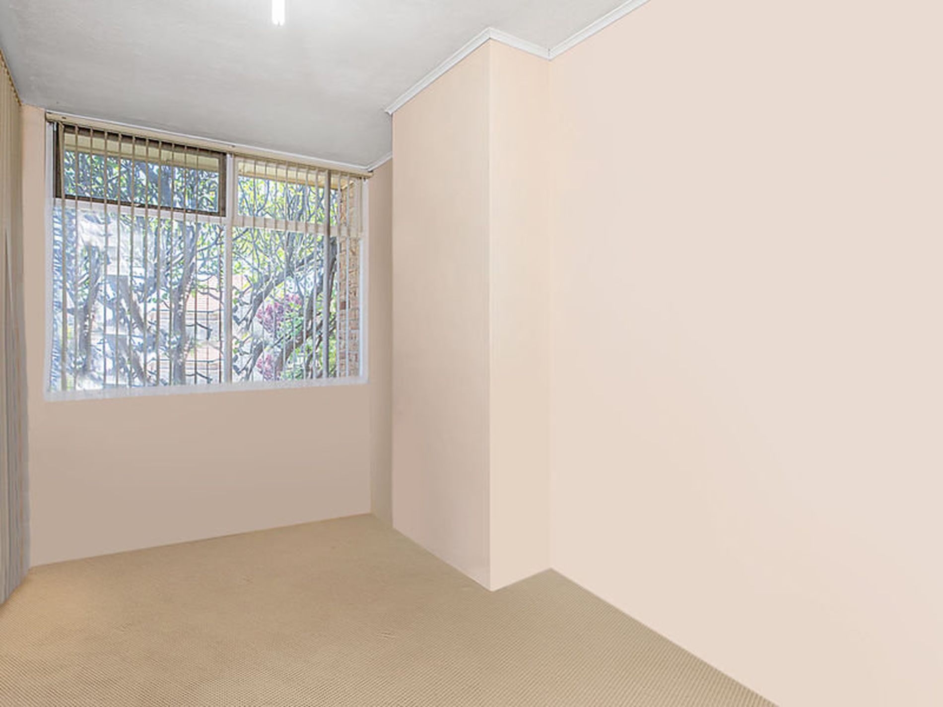 20 Bourlang Avenue, Camden Park