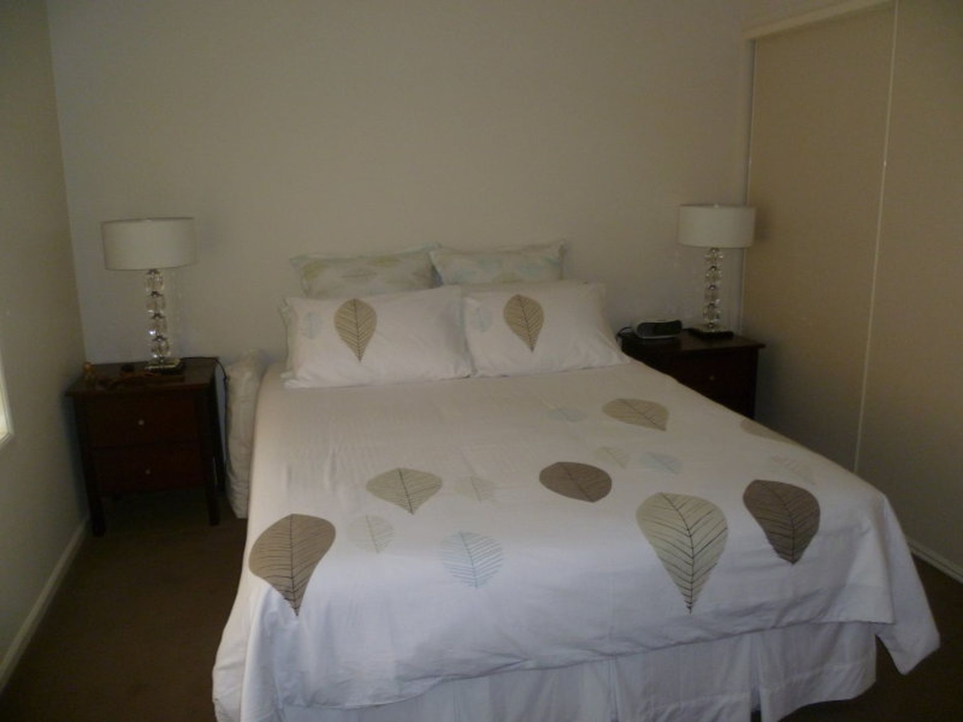 65 Lily Street, Hamlyn Heights