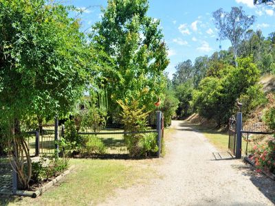 231 Scrubby Creek Road, Mitta Mitta