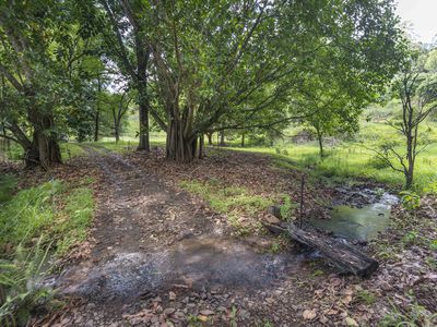 353 Gungas Road, Nimbin