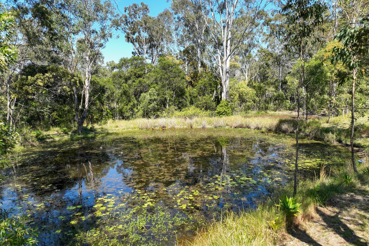 175 Cedar Party Road, Taree