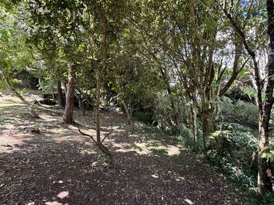 25 Porritt Avenue, Chatswood