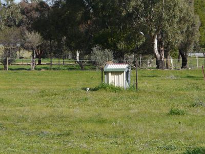 Tocumwal