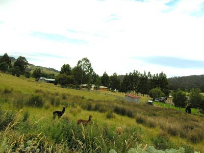 30 Knights Road, Geeveston