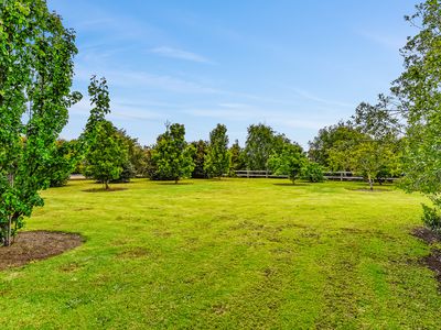 84 BANKSIA ROAD, Millicent
