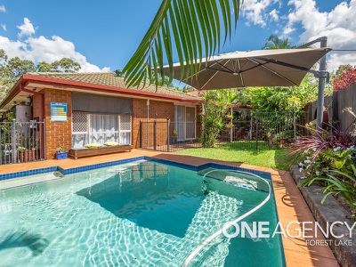 8 Teasel Crescent, Forest Lake