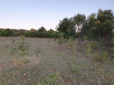 Lot 790, Thomas Road, Rocky Camp