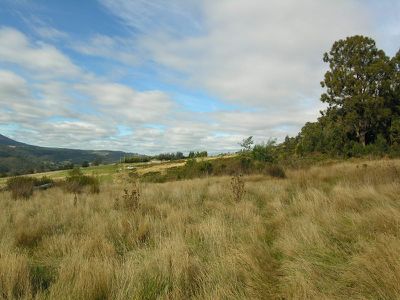 Cnr Old Road & New Road, Franklin
