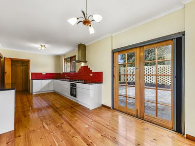 53 Williams Road, Millicent