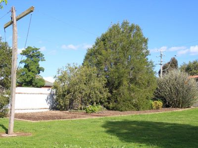 13 Scott Street, Rutherglen