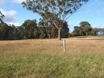 Torrington Road, Stannum
