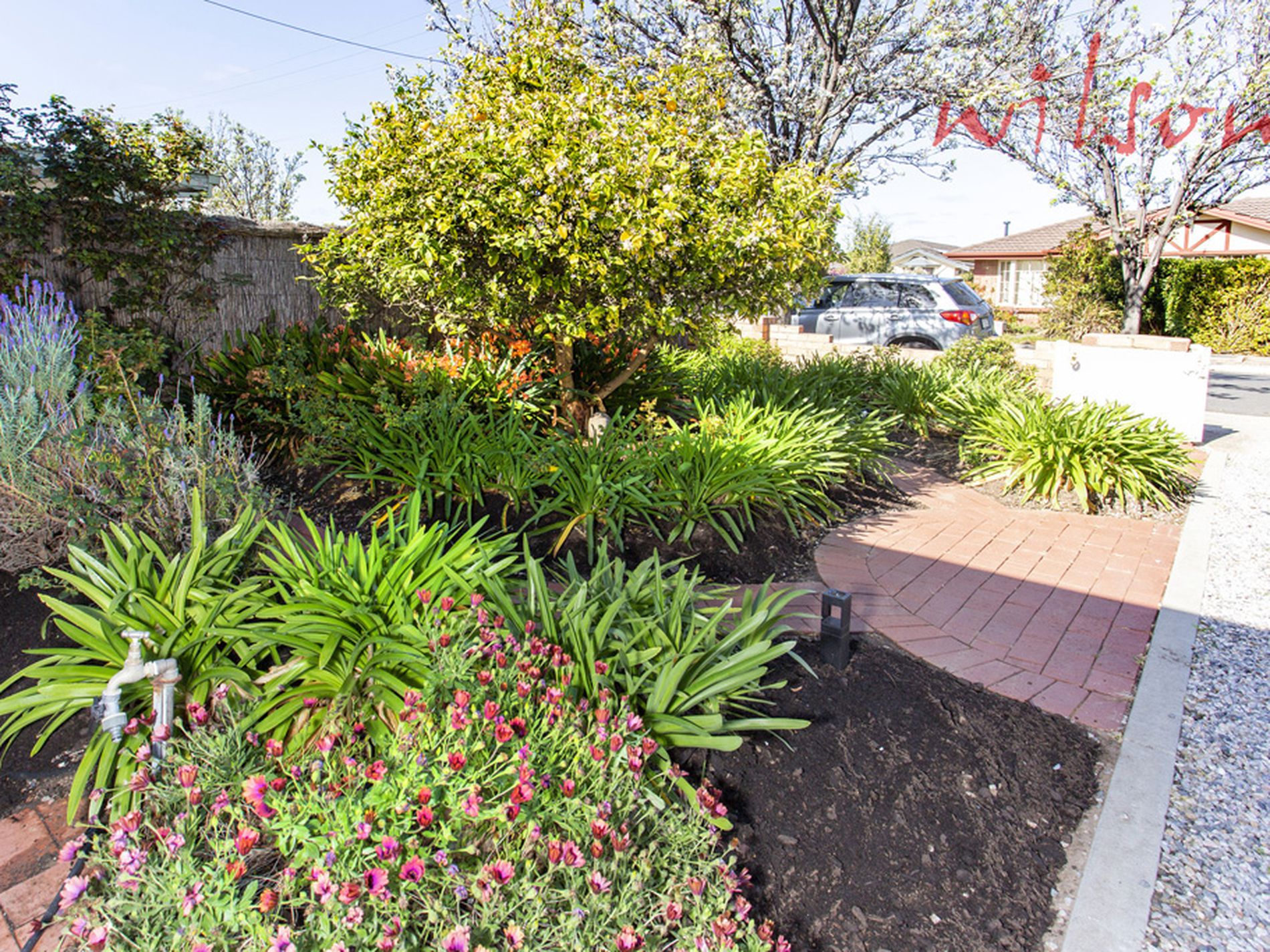 5 Pistolier Street, Plympton