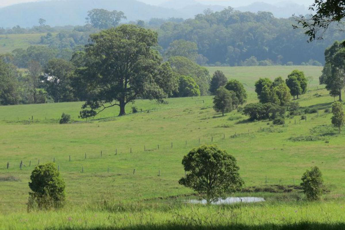 250 Bootawa Dam Road, Wingham