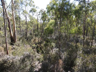 164 Smiths Road, Moogara