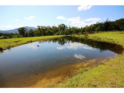 77 Ben Beasley Road, Towamba